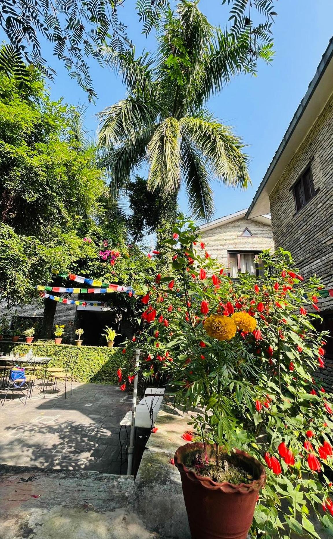 Mum'S Garden Resort Pokhara Exterior foto